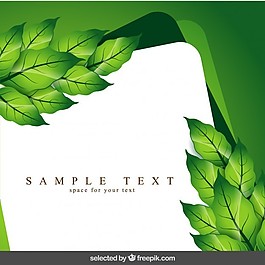 模板的葉子