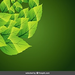 綠葉背景