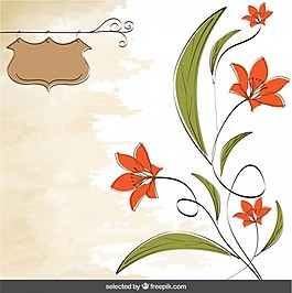 背景有橙花