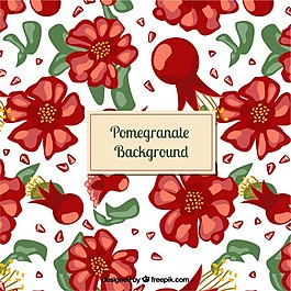 石榴的背景