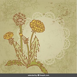 花复古卡
