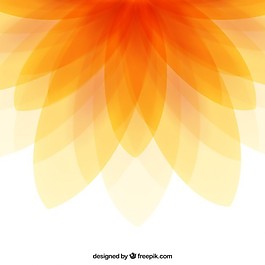 摘要花卉背景