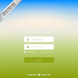 Web登录面板