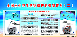 動(dòng)物保護(hù)宣傳圖片