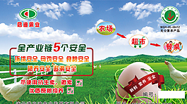 啟迪禽業圖片