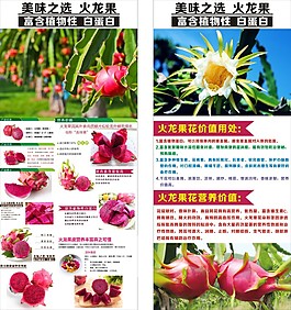 展架海报