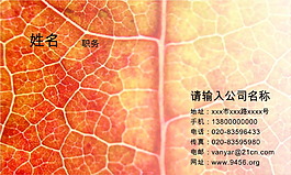 樹葉紋綜合系列名片