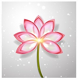 漂亮的蓮花