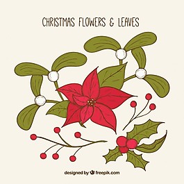 手繪圣誕花