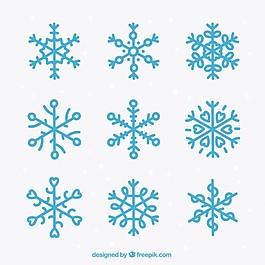 蓝雪花图标