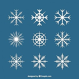 白色的雪花收藏