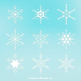 白色雪花收藏