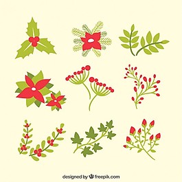 可愛的圣誕花收藏