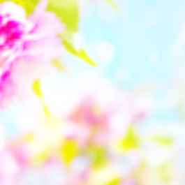 夢幻花卉背景