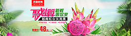 火龙果海报