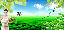 瑜伽美女茶文化