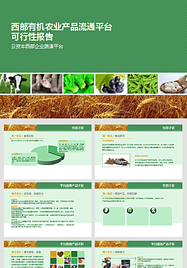 可行性報告ppt模板