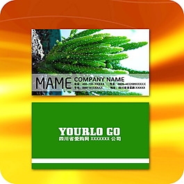 綠色草風(fēng)格企業(yè)名片