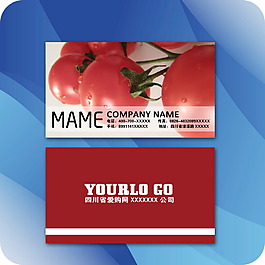 西紅柿風(fēng)格企業(yè)名片