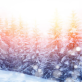 高清唯美夢(mèng)幻冬季雪景直通車背景