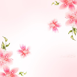 时尚花纹粉色背景