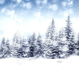 冬季雪景主圖