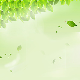 淘宝春季女装清新树叶背景