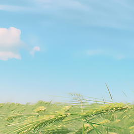 淘宝春季清新女装背景