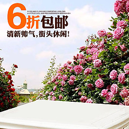 花朵素材背景