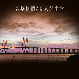 女包直通车奢华主图