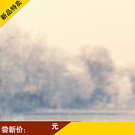 朦胧树林背景