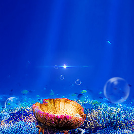 海底世界主圖