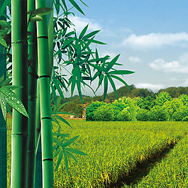 小清新背景