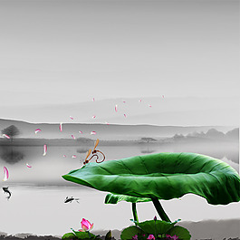 中國風荷花背景