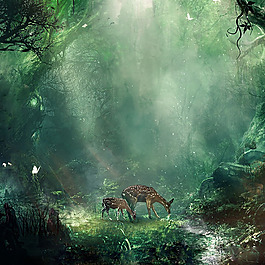 夢幻森林促銷推廣主圖背景