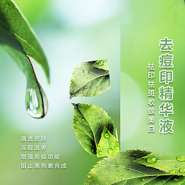簡約春天促銷