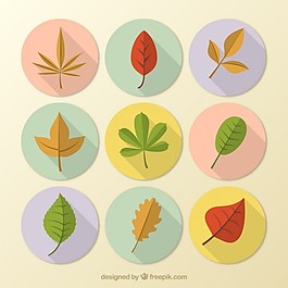 彩色的秋天树叶收藏