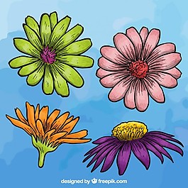 五顏六色的花朵