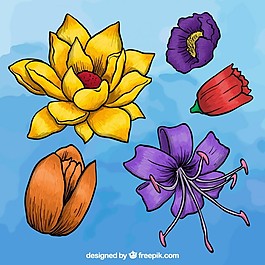 手繪風(fēng)格的彩色花