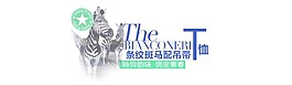 斑馬T恤