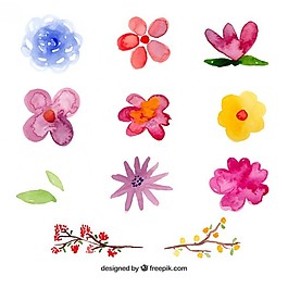 水彩藝術(shù)之花