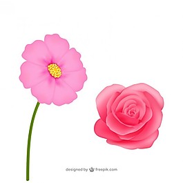 現(xiàn)實(shí)的粉紅色的花