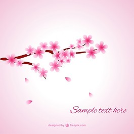 柔軟的櫻花