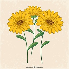 黃色的花