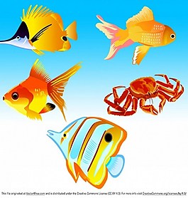 可愛的小魚