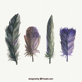 手繪鳥羽毛