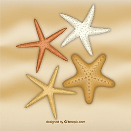 海星