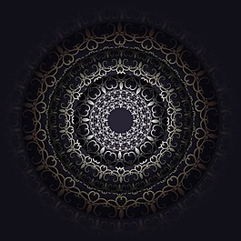 暗背景花