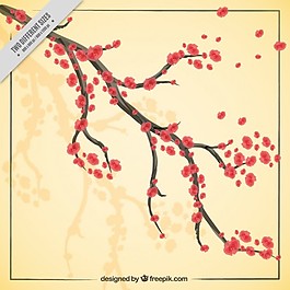 用花手拉支