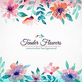 水彩花卉背景
